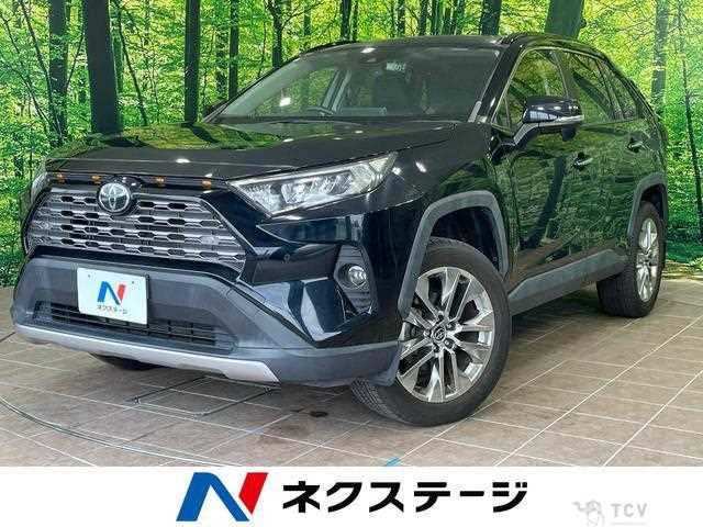2019 Toyota RAV4