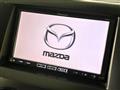 2013 Mazda Biante