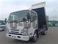 2017 Isuzu Elf Truck