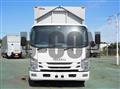 2020 Isuzu Elf Truck