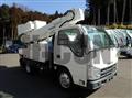 2009 Isuzu Elf Truck