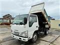 2017 Isuzu Elf Truck