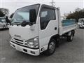 2017 Isuzu Elf Truck