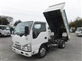 2017 Isuzu Elf Truck