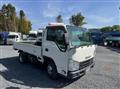 2019 Isuzu Elf Truck