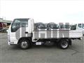 2018 Isuzu Elf Truck