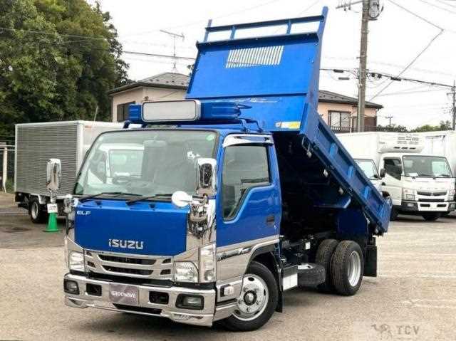 2020 Isuzu Elf Truck
