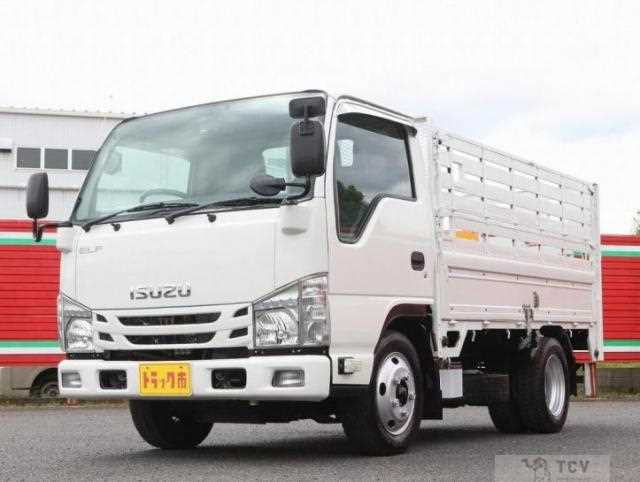2015 Isuzu Elf Truck