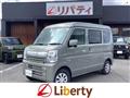 2025 Suzuki Every