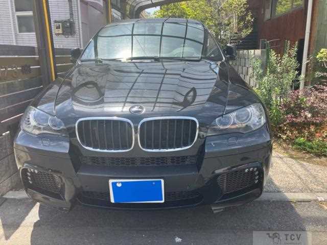 2009 BMW X6