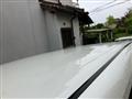 2008 Toyota Noah