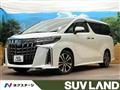 2019 Toyota Alphard G