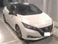 2019 Nissan Leaf