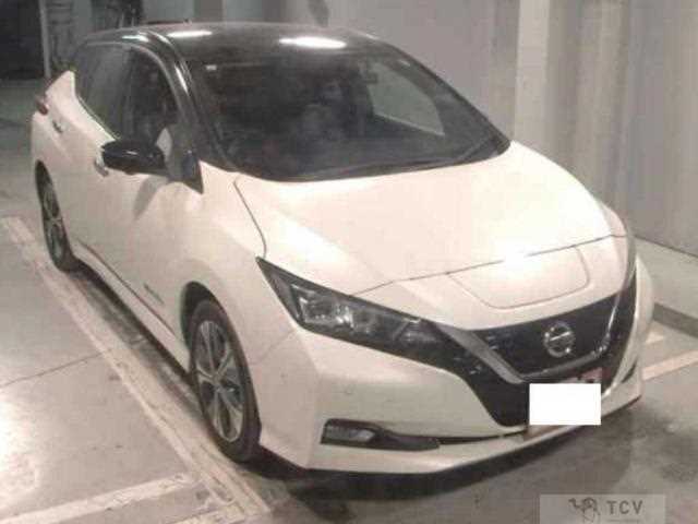 2019 Nissan Leaf