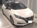2019 Nissan Leaf