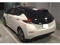 2019 Nissan Leaf