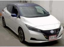 2022 Nissan Leaf
