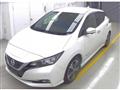 2021 Nissan Leaf