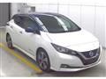 2021 Nissan Leaf