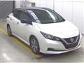 2019 Nissan Leaf