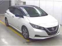 2019 Nissan Leaf