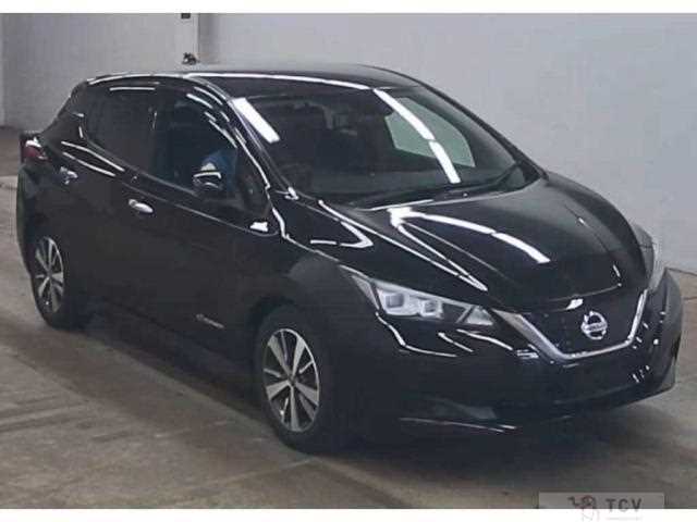 2021 Nissan Leaf
