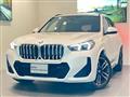 2025 BMW BMW Others