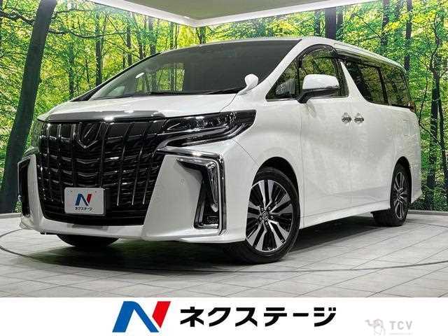 2019 Toyota Alphard G