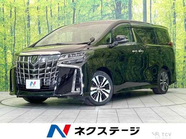2019 Toyota Alphard G