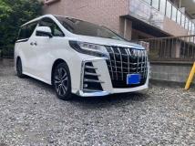 2019 Toyota Alphard G