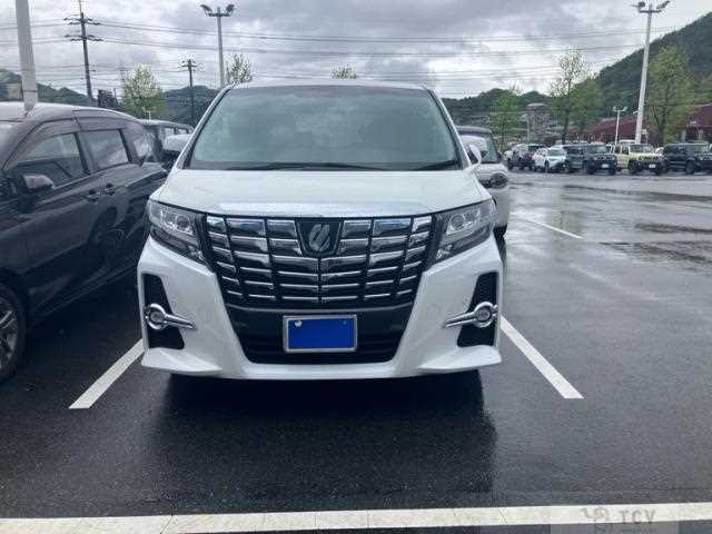 2017 Toyota Alphard G