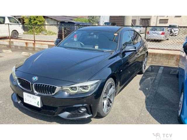 2017 BMW BMW Others