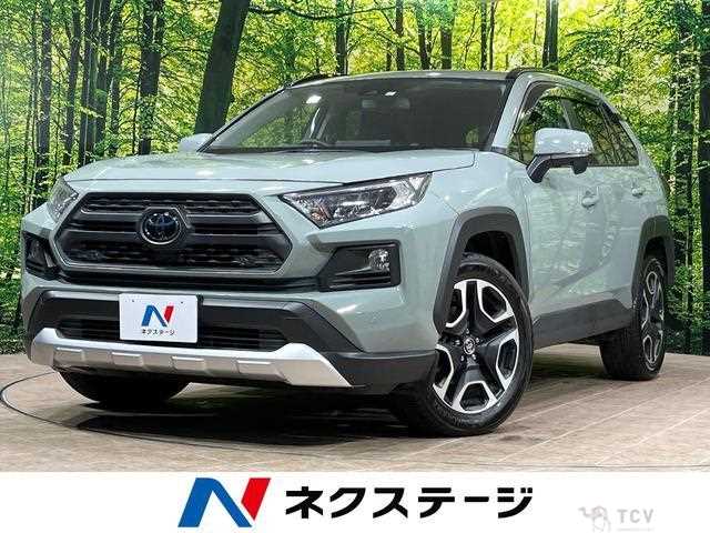 2019 Toyota RAV4