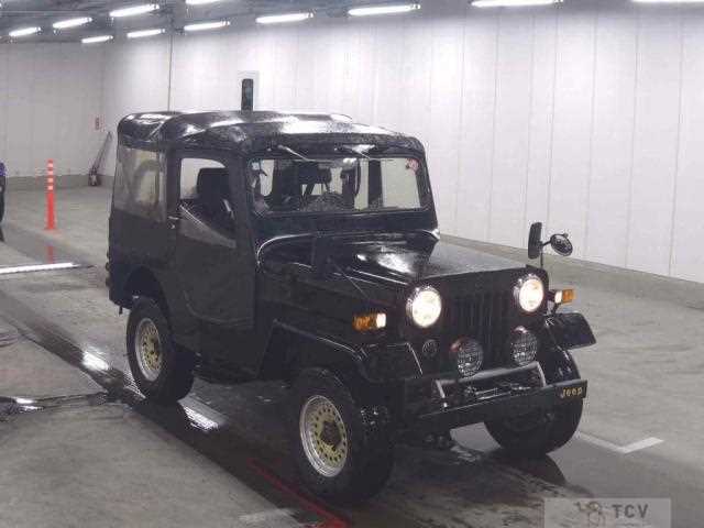1993 Mitsubishi Jeep