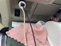 2007 Toyota Estima