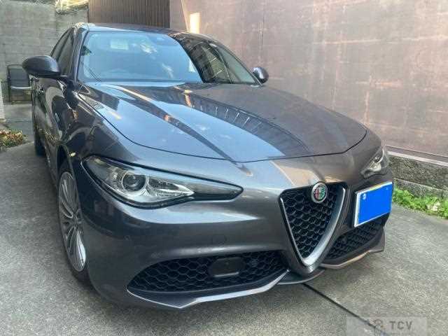 2019 Alfa Romeo Alfa Romeo Others