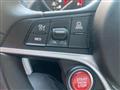 2019 Alfa Romeo Alfa Romeo Others
