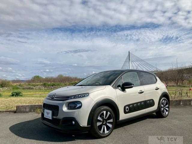 2019 Citroen C3