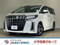 2019 Toyota Alphard G