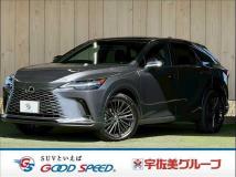 2024 Lexus RX