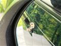 2024 Honda Step WGN