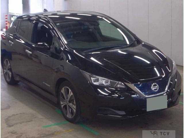 2020 Nissan Leaf