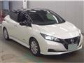 2021 Nissan Leaf