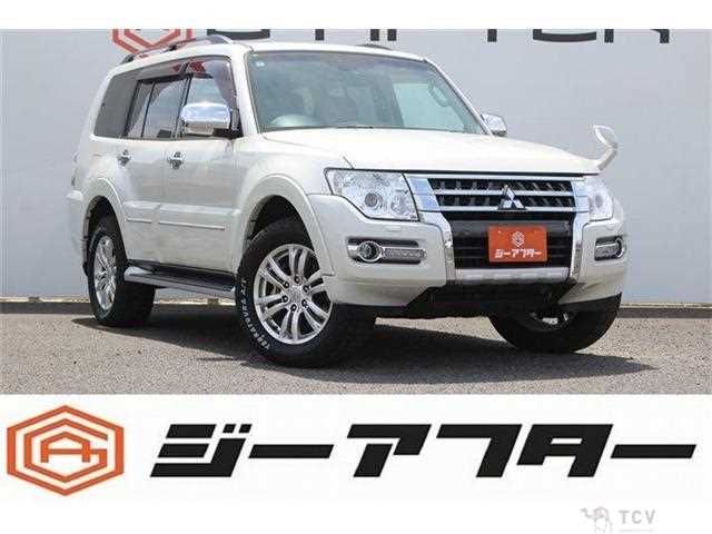 2018 Mitsubishi Pajero