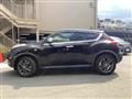 2013 Nissan Juke