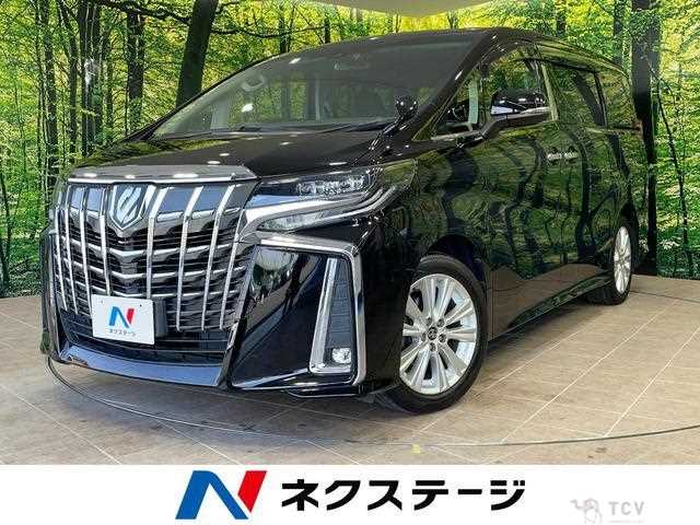 2019 Toyota Alphard G