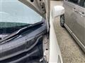 2010 Honda Freed