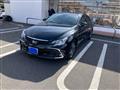 2019 Toyota Mark X