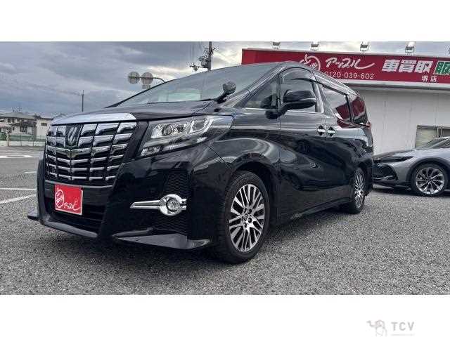 2017 Toyota Alphard G