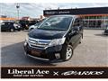 2012 Nissan Serena